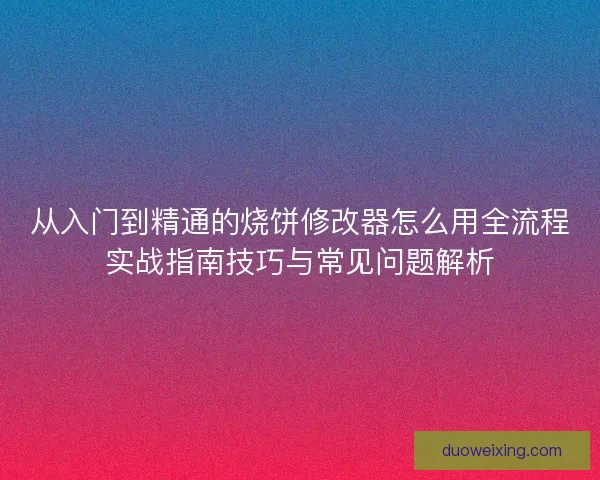 从入门到精通的烧饼修改器怎么用全流程实战指南技巧与常见问题解析