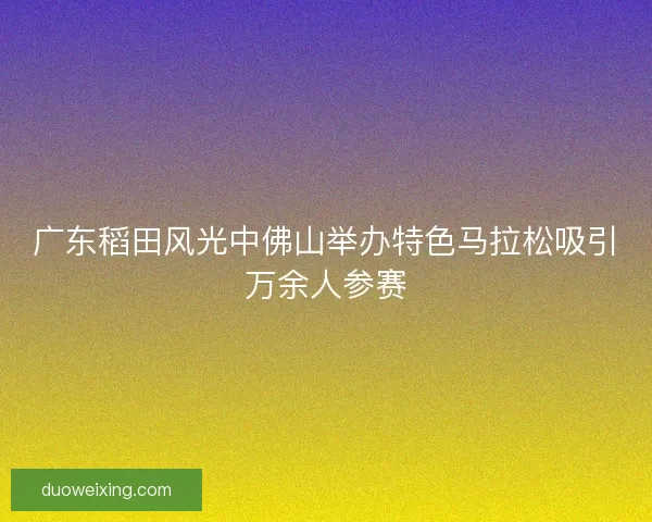 广东稻田风光中佛山举办特色马拉松吸引万余人参赛
